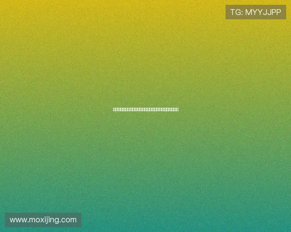 德甲顶级后防阵容解析：防线强悍的背后策略与明星球员贡献