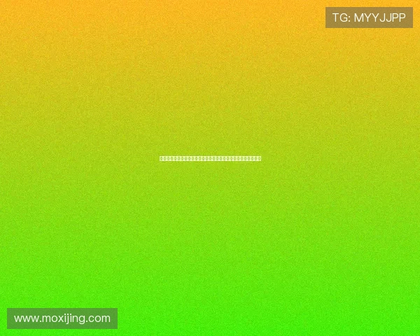 法甲女足球队崛起背后的故事与挑战：探索女性足球的未来与发展